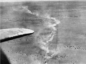 History WWII 1939-1941 (1)