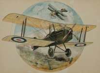 Aces and Aircraft of World War 1