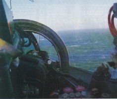BuccArticles AFM 1994.pdf