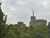 EIIR Flypast