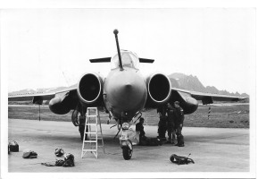 Birdstrike (1)